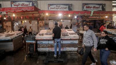 مرکز آمار مصر:‌ نرخ بیکاری در سه ماهه اول سال 2024 به 6.7 درصد کاهش یافته است | خبرگزاری بین المللی شفقنا