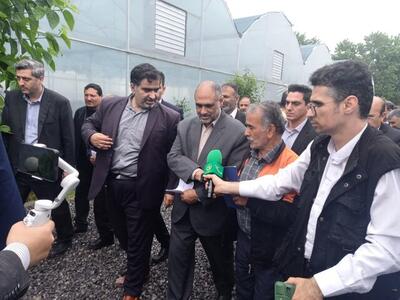 وزیر جهاد: تسهیلات بانکی برای احداث گلخانه‌ اختصاص می‌یابد | خبرگزاری بین المللی شفقنا