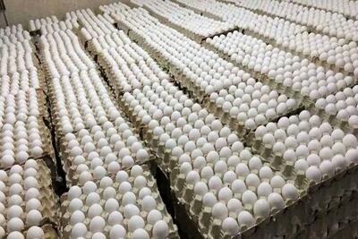 قیمت انواع تخم مرغ بسته بندی / یک عدد تخم مرغ 5 هزار تومان!