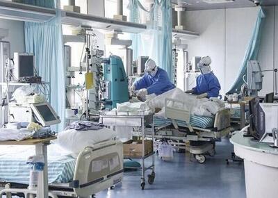 مهاجرت کادر درمان به عمان/ مرگ پزشکان و پرستاران ضعف وزارت بهداشت است/ کسی حاظر نیست در آی‌سی‌یو کار کند