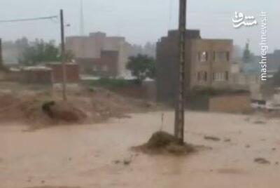فیلم/ جاری شدن سیلاب در محله قلعه عزیز بجنورد