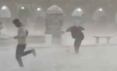 ببینید / تلاش مردم برای نجات کبوتران حرم امام رضا از زیر بارش تگرگ