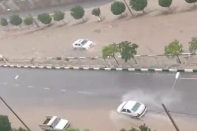 ببینید / سیل در بلوار شهید ناصری مشهد خودرو را با خود بُرد