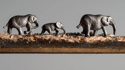 خانواده فیل های حک شده در یک مداد !