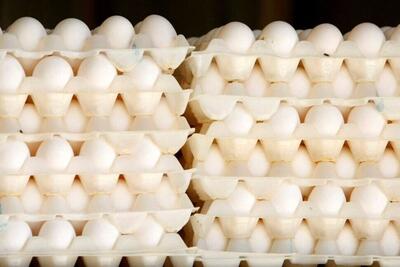 تولید سالانه ۸۶ هزار تخم مرغ در البرز