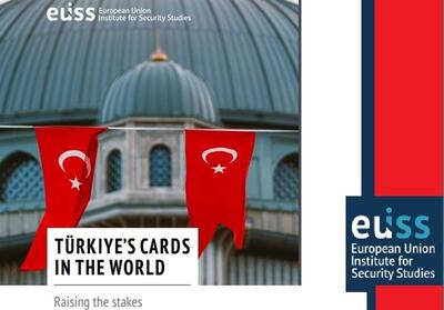 نگاه مؤسسه امنیت اروپا به ابزارهای قدرت ترکیه در دنیا - تسنیم