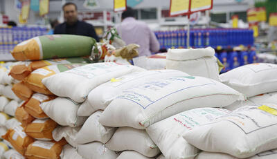 تاکید بر تامین برنج مورد نیاز کشور از منابع داخلی و خارجی