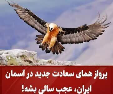 پرواز همای سعادت جدید در آسمان ایران,عجب سالی بشه!