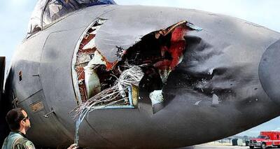 روایت سقوط خطرناک هواپیما در برخورد با پرندگان | رویداد24