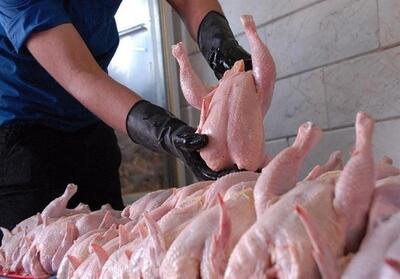 رشد 53 درصدی عرضه گوشت طیور در فروردین امسال - تسنیم