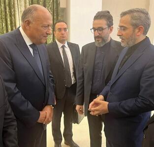 رایزنی وزیر خارجه مصر با علی باقری