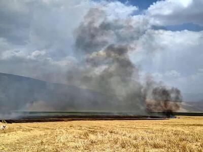 آتش‌سوزی بیش از ۱۰۰ هکتار از زمین‌های کشاورزی ایذه