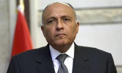 وزیر خارجه مصر راهی تهران شد