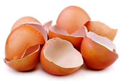 ترفندهای استفاده از پوست تخم مرغ