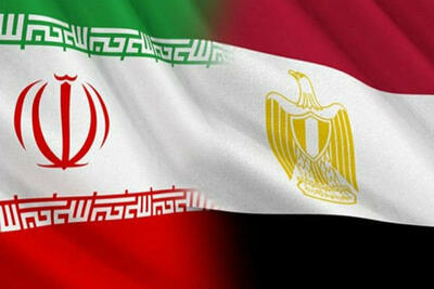 وزیر امور خارجه مصر:خواستار تقویت روابط با ایران هستیم - شهروند آنلاین