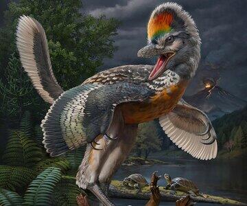 در فسیل پوست دایناسور پردار چه رازی نهفته است؟