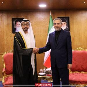 دیدار وزیر امور خارجه امارات با علی باقری