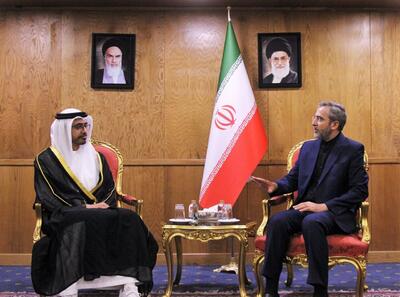 جزئیات دیدار با وزیر خارجه امارات | باقری: تنش زدایی با همسایگان قطعا استمرار خواهد یافت