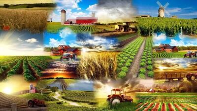 از افزایش صادرات محصولات کشاورزی تا تنظیم بازار گوشت در دولت رئیسی