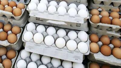 جدیدترین قیمت تخم مرغ در بازار