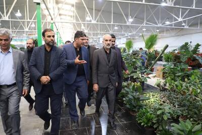 بازدید استاندار مازندران از نمایشگاه گل و گیاه زینتی استان در ساری