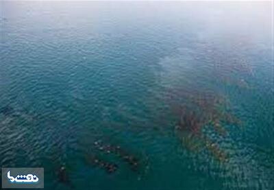 آلودگی نفتی دریای عمان پاکسازی شد | نفت ما