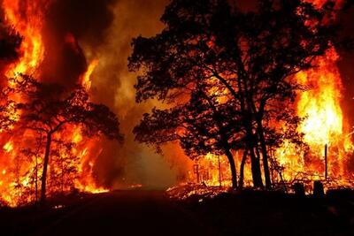 امسال با خطر شروع زودهنگام آتش‌سوزی در محیط زیست مواجهیم