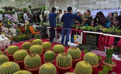 هجدهمین نمایشگاه تخصصی گل و گیاه در قزوین بر پا می شود