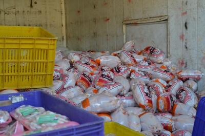 عرضه روزانه گوشت مرغ منجمد در بازار تهران