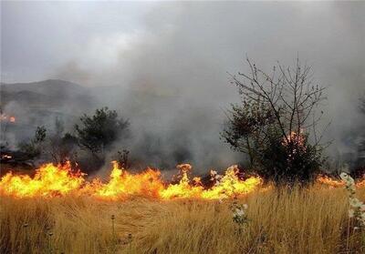 آتش‌سوزی سرپل‌‌ذهاب به اراضی کشاورزی خسارت نداشت - تسنیم