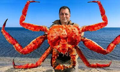 طعم لذیذ شاه خرچنگ در کنار ساحل، با هنرنمایی آشپز مشهور آذربایجانی (فیلم)