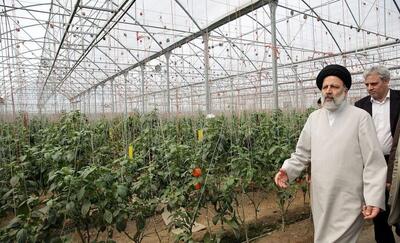 دستاورد سفر رئیس جمهور شهید به همدان/۲۰۸۸ میلیارد تومان اعتبار بخش کشاورزی تصویب شد