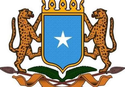 کشته شدن بیش از 20 تروریست الشباب در سومالی - تسنیم