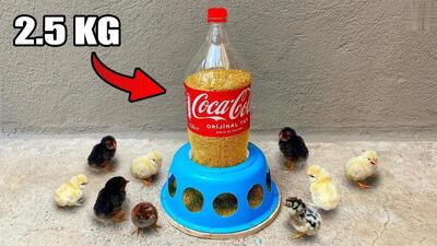 یک ایده جالب برای ساخت دانخوری مرغ با تشت و بطری نوشابه (فیلم)