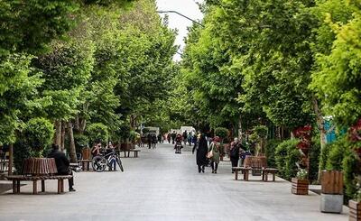 صحنه ترسناکی که وسط یک خیابان در اصفهان رویت شد