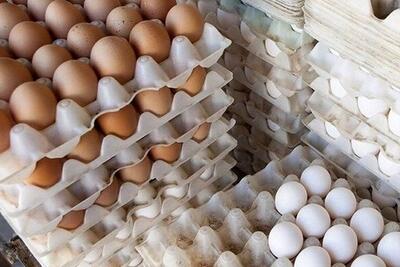 انبار غیرمجاز نگهداری تخم مرغ در اراک کشف شد