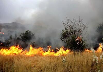هشدار سازمان منابع طبیعی درباره آتش سوزی مراتع کشور
