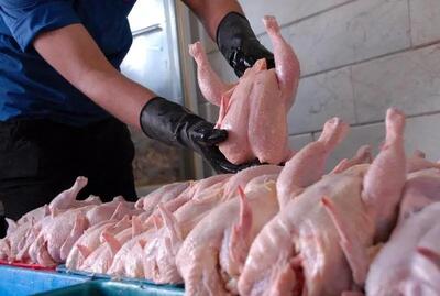 توزیع ۲۵ تن گوشت مرغ با قیمت تنظیم بازار در قزوین