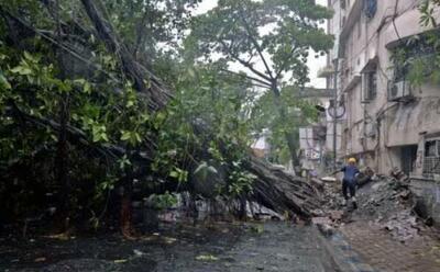 طوفان در بنگلادش و هند قربانی گرفت/ عکس