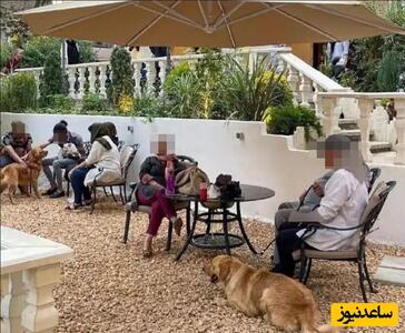 کافه سگ‌ها در اندرزگوی تهران پلمب شد!