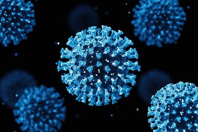 کشف ویروس‌هایی که ممکن است همه‌گیری بعدی را رقم بزنند