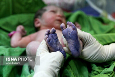 تولد ۸ نوزاد از ابتدای ۱۴۰۳ در مرکز درمان ناباروری رویش بیرجند 