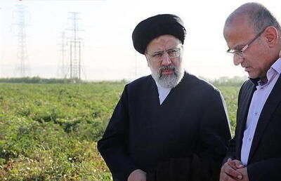کشاورزی ایران در دولت شهید رئیسی پیشرو بود