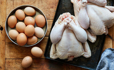 صادرات مرغ و تخم مرغ به عراق ممنوع شد