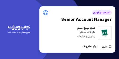 استخدام Senior Account Manager در مدیا تبلیغ گستر