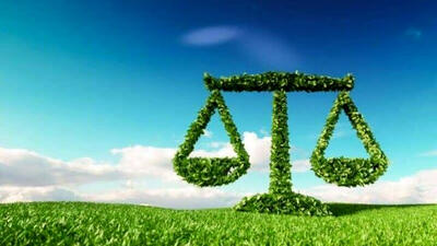 حکم جالب و سبز یک قاضی برای متخلف  زیست محیطی