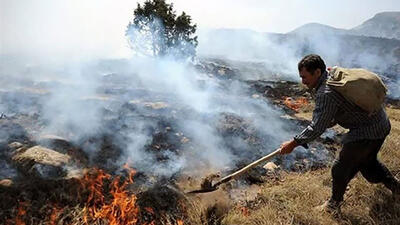 آتش‌سوزی گسترده در مراتع روستاهای سروآباد + فیلم
