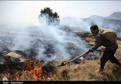 آتش‌سوزی گسترده در مراتع روستاهای سروآباد + فیلم - تسنیم