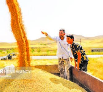 کشاورزان خوزستانی گلایه دارند
