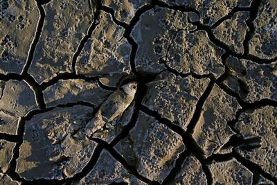 کدام ترسالی؟ کمبود جدی آب داریم | اقتصاد24
